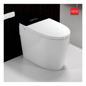 Bồn cầu thông minh PR-C781